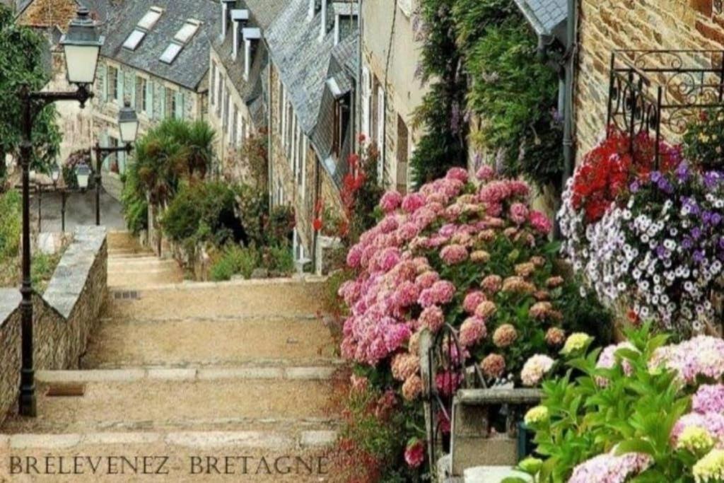 Maison Du Martin Pecheur A 라니옹 외부 사진